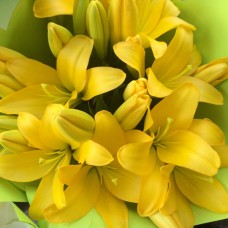 Lillies – yellow